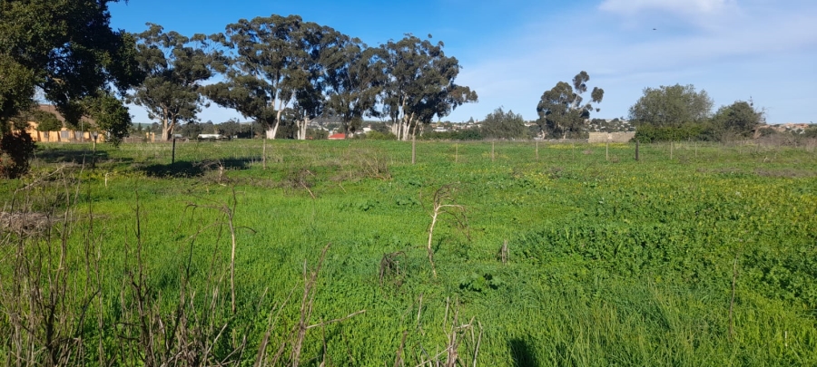3 Bedroom Property for Sale in Hooikraal Western Cape